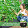 50x65x18 Inch Cucumber Trellis for Raised Bed with 46 Gallon Grow Bags
