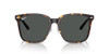 RAY-BAN RB2206D SQUARE SUNGLASSES - HAVANA/DARK GRAY