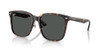 RAY-BAN RB2206D SQUARE SUNGLASSES - HAVANA/DARK GRAY
