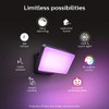 PHILIPS HUE DISCOVER OUTDOOR FLOOD LIGHT FIXTURE 15W, LED COLOR-CHANGING - BLACK