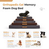 YANXUAN Dog Mat Memory Foam Chic Cat Bed, Double-Sided, Washable Cover,Medium