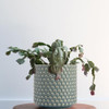 Bloomingville Sky Blue Cream Stoneware Pot Crackle Finish - Bleu/Bleach New
