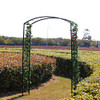 Better Garden Steel Garden Arch, 7'2" High x 4'7" Wide B07KZNXDPN - Black New