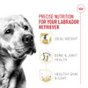 Royal Canin Labrador Retriever Adult Dry Dog Food 30lb Bag - NEW New