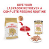 Royal Canin Labrador Retriever Adult Dry Dog Food 30lb Bag - NEW New