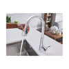 Moen Hadley 87245 Kitchen Faucet New