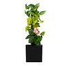 TEVAGROW TEVATOWER MINI SMART SELF-WATERING INDOOR GARDEN SYSTEM - BLACK