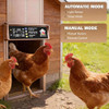 IBKINXX AUTOMATIC CHICKEN COOP DOOR SOLAR POWERED,GOLDEN BROWN CHICKEN DOOR
