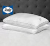 sealy Sterling Collection Down Alternative Pillows 400 Thread Queen - 2 Pack New