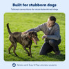 PETSAFE PIF00-13672 STUBBORN DOG STAY & PLAY WIRELESS FENCE COLLAR, 3 DOGS New