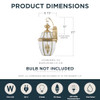Quoizel Newbury 20" Outdoor Wall Lantern 2-Light Polished Brass - B0013CN3DK New