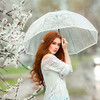 Siepasa Women's Grey Clear Bubble Umbrella Classic Hook Handle B094V9DTGV