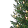 4-Foot Potted Cedar Pine Trees with 100 Clear Lights (Set of 2) B00ERESRCI New
