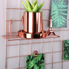 Simmer Stone Rose Gold Wall Grid Panel for Photo Hanging Display - Set of 1