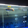 22.8" x 22.8" Aquarium Fish Tank 120 Gallon Acrylic Divider B07BB3C8Y8 - NEW New