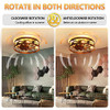 Apgooface Rustic Caged Ceiling Fan Light 4 Bulbs 3 Speeds Flush Mount B0B3MSF4JK New