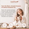 LeafLea Pure Cinnamon Tea Bags, Naturally Sweet, Caffeine-Free, 40 Count New