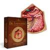 Genius Games Human Abdomen Anatomy Jigsaw Puzzle Dr Livingston's Unique Shaped New