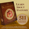 Genius Games Human Abdomen Anatomy Jigsaw Puzzle Dr Livingston's Unique Shaped New