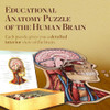 Genius Games Human Head Anatomy Puzzle - 441 Piece Teen Floor Puzzle New