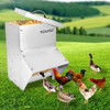 Baffle Feeder Chicken Feeder Poultry Feeder Lid Weatherproof B0CL2838H4 - Silver New
