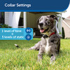PetSafe Wireless Pet Containment System with Extra Battery B07C76MND6 - New New