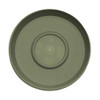 Bloem Terratray 2.7"H x 16"Dia. Resin Traditional Thyme Green Tray B002HJBNJY New
