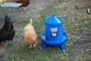 Double-Tuf® Poultry Feeder Legs Durable Feeding Container Carrying Handle New