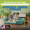 PuppyGoHere Large Dog Indoor Litter Box Up to 20 Lbs, Apple Green New