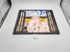 Rustic Pig Wall Art Cute Peach Pigs Window Pictures Wall Decor Funny Pigs Canvas New