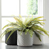 Sullivans Ceramic Planter Set 3 Small Planters Home Décor CM2969 - Multi-Color New