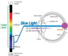 EYES PC Blue Light Screen Protector Panel Universal 27" Diagonal LED Monitor New