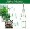IDOXE 72Inches 6FT Sturdy Metal Garden Stakes Plant Support, 20 Pack B094N4Q6MH