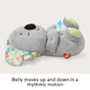 FISHER-PRICE SOOTHE ‘N SNUGGLE KOALA BABY TOY - MULTICOLOR