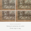 Loloi Amber Lewis Billie Clay/Sage 2'-6" x 7'-6" Runner Rug New