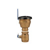ZURN WILKINS 2-720A 2-inch Pressure Vacuum Breaker Assembly