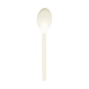 Plant Starch Teaspoon, 1000/Carton New