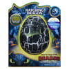 Dreamworks Dragons New and Exclusive at Walmart Hatching Toothless Interactive New