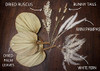 Chrissenia Dried Palm Leaves 18" with Boho Dried Flowers | B09Z6537KY