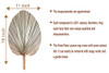 Chrissenia Dried Palm Leaves 18" with Boho Dried Flowers | B09Z6537KY