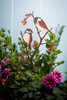 Chickadees & Berries Garden Stake Garden Art Flower Pot Decor Hand Painted New
