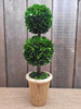 TRADINGSMITH PRESERVED BOXWOOD 20" DOUBLE BALL TOPIARY New