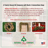National Tree Company Pre-Lit Artificial Christmas Tree, White Lights, 4 feet New
