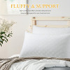 LUTE King Size Pillows Set of 2, Down Alternative Pillows (B08CXLTXFX) - White New