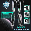 ZHONGLE Pro MMA Shin Guards 12mm High-Density Foam, Adjustable Strap - NEW New