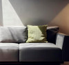 LiteOut Monika Plush 20x20 Pillows - Set of 2 with Down Fill - Sage New