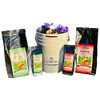 Self-Watering Cannabis Planter - Hopwood Farms
