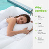 Cariloha Resort 4-Piece Sateen Sheet Set | White | Cal King | Cooling New