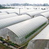 SUNVIEW Greenhouse Plastic Film Polyethylene Covering 6 Mil 12ft. X 25ft - CLEAR New