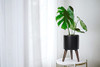 D'vine Dev 8 Inch Planter Pot with Wood Stand, Black, 88-O-A-2 New